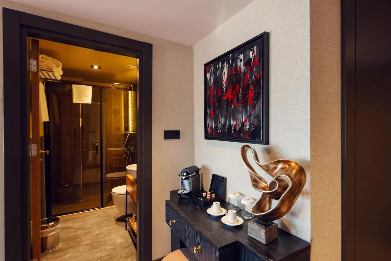 ****  Root Karakoey Hotel Istanbul Turcia